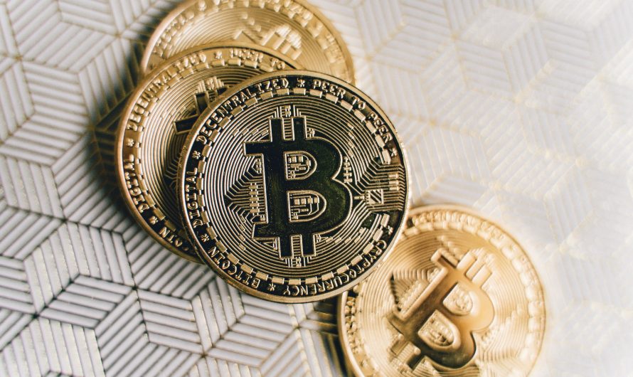 Ist ein Physisches Crypto Wallet wichtig?